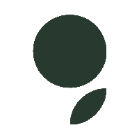 Цветы в городе