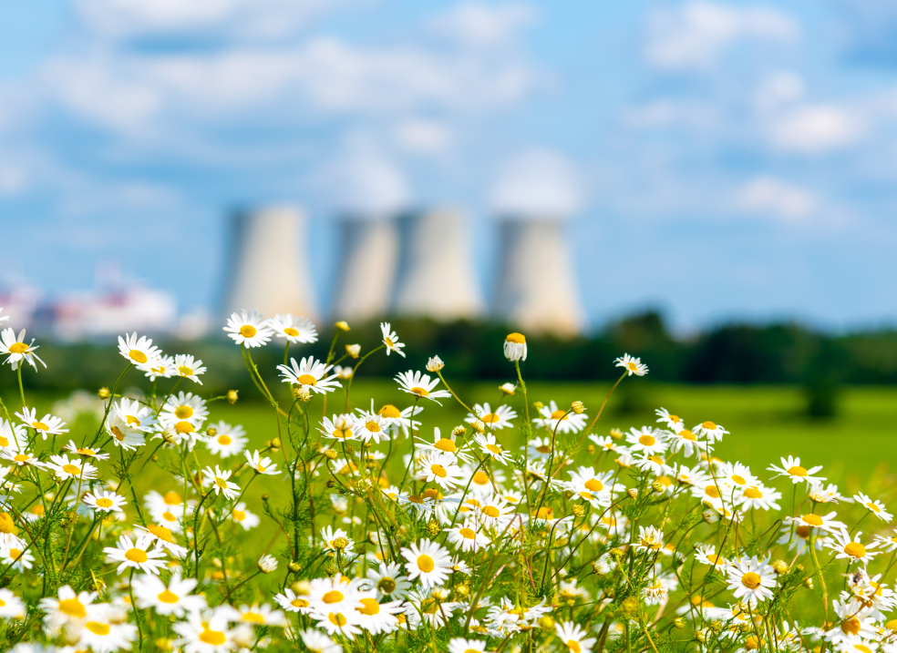 Устойчивое развитие